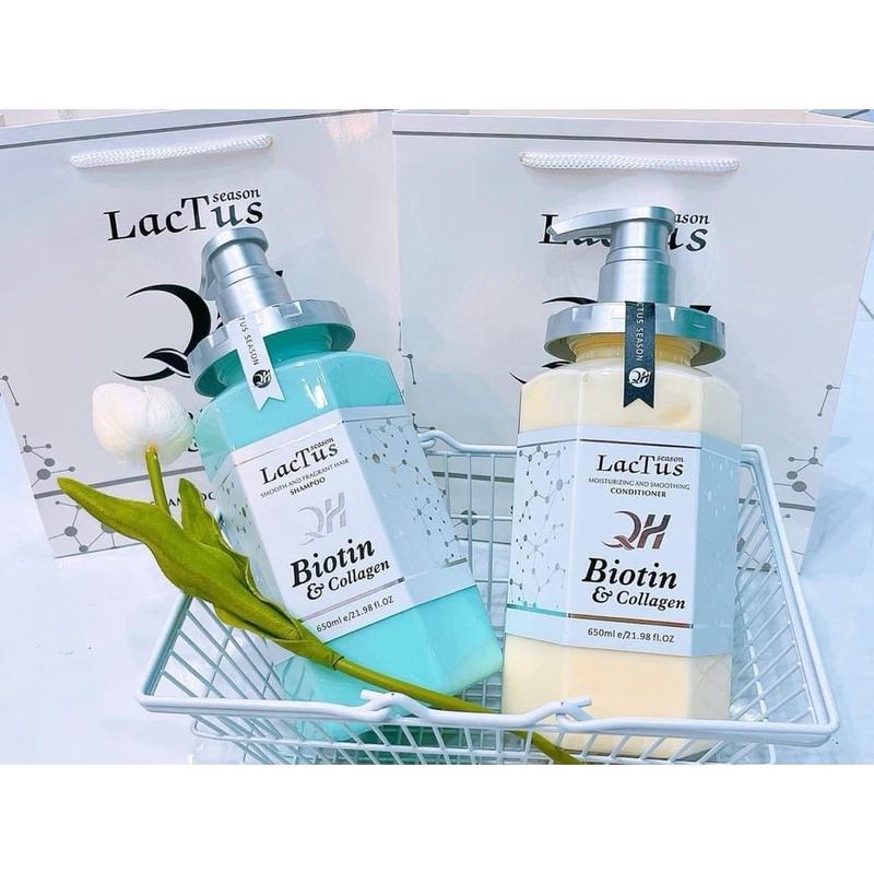 Dầu gội biotin collagen QH Lactus season giảm rụng tóc, giảm gàu cho da đầu - Nữ, Trà