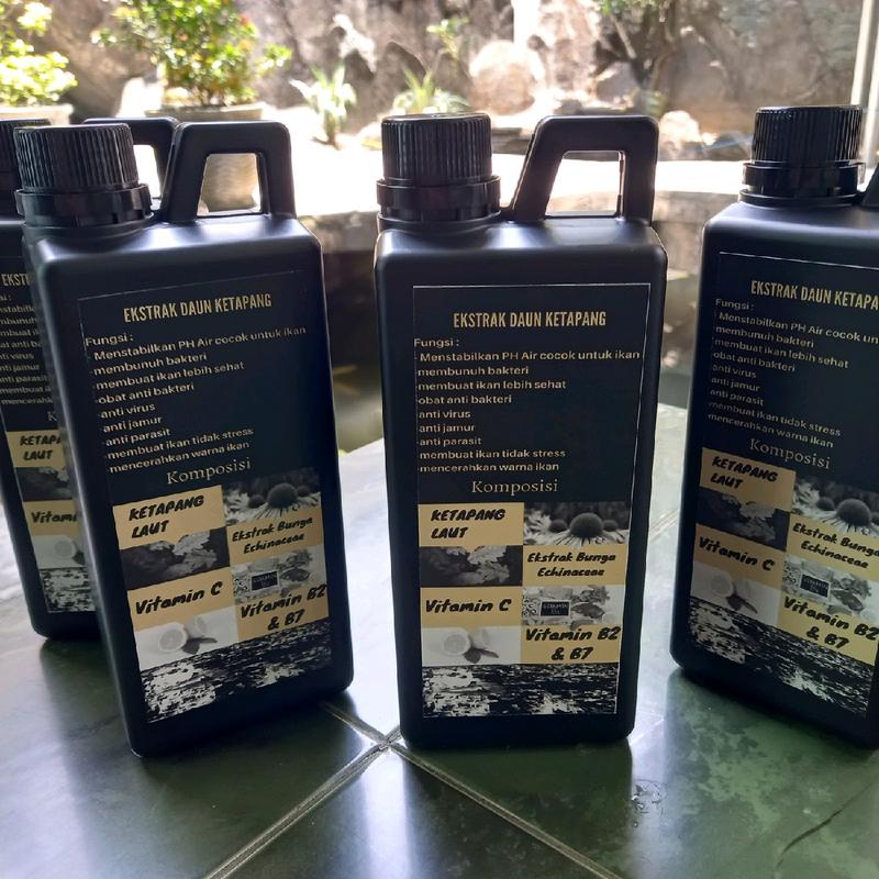 Ekstrak Ketapang Laut 1 Liter 2