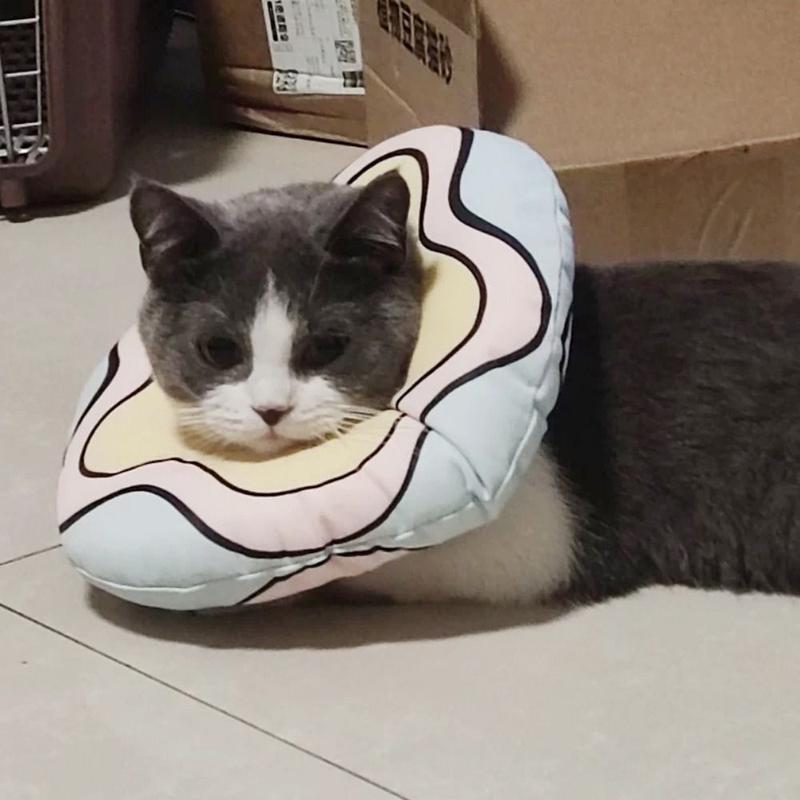Product Introduction of Pet Accessories Cartoon Pet Elizabeth Collar Frog/Flower Adjustable Cat Recovery Collar Soft Warm Cat Protection Collar For Cats Dog 9