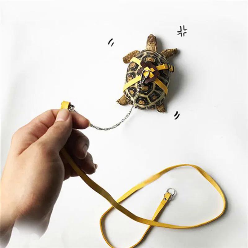 Adjustable Outdoor Pet Harness Training Soft Strap Tortoise Reptile ...