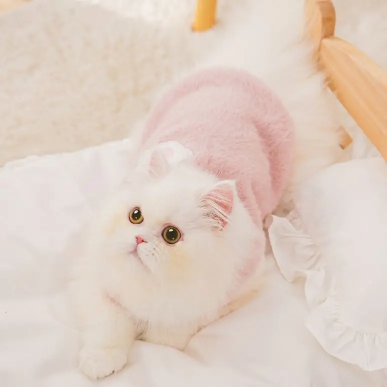 Quần áo cho mèo, Áo vest len nhung ấm áp, chống sốc, Thích hợp cho mèo con và mèo Anh Shorthair, Màu xanh da trời, Phong cách Muppet, Quần áo mùa đông cho thú cưng, Giảm giá Xả Hàng 1