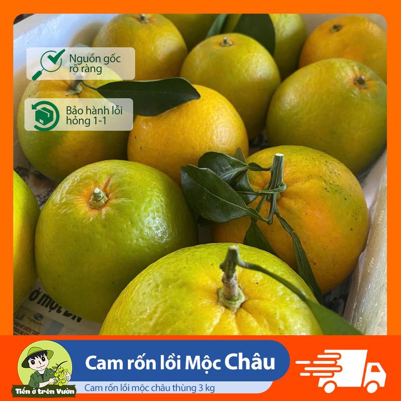 Cam Rốn Lồi Mộc Châu Không Hạt Ít Chua 3kg - Sản Phẩm Đặc Trưng Từ Mộc Châu