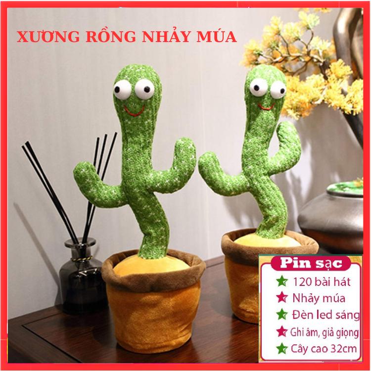  Cây xương Rồng Nhảy Múa Xương Rồng Biết Nhại Siêu Hót 