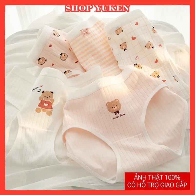 Combo 5 quần lót gấu cam chất cotton thoáng mát cho bé gái, học sinh, sinh viên dễ thương 0