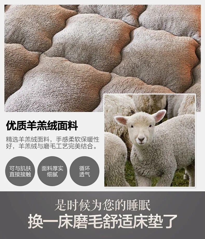 Product Introduction of Nệm Da Cừu Dày, Đệm Giường Nhiệt, Chất Liệu Tatami, 1.5 M Và 2 M, Thích Hợp Cho Ký Túc Xá Sinh Viên, Có Thể Được Sử Dụng Làm Chăn, Có Sẵn Trong Kích Thước Đơn Và Đôi, Ưu Đãi Đặc Biệt đa dạng bền bộ chăn ga gối đệm 5