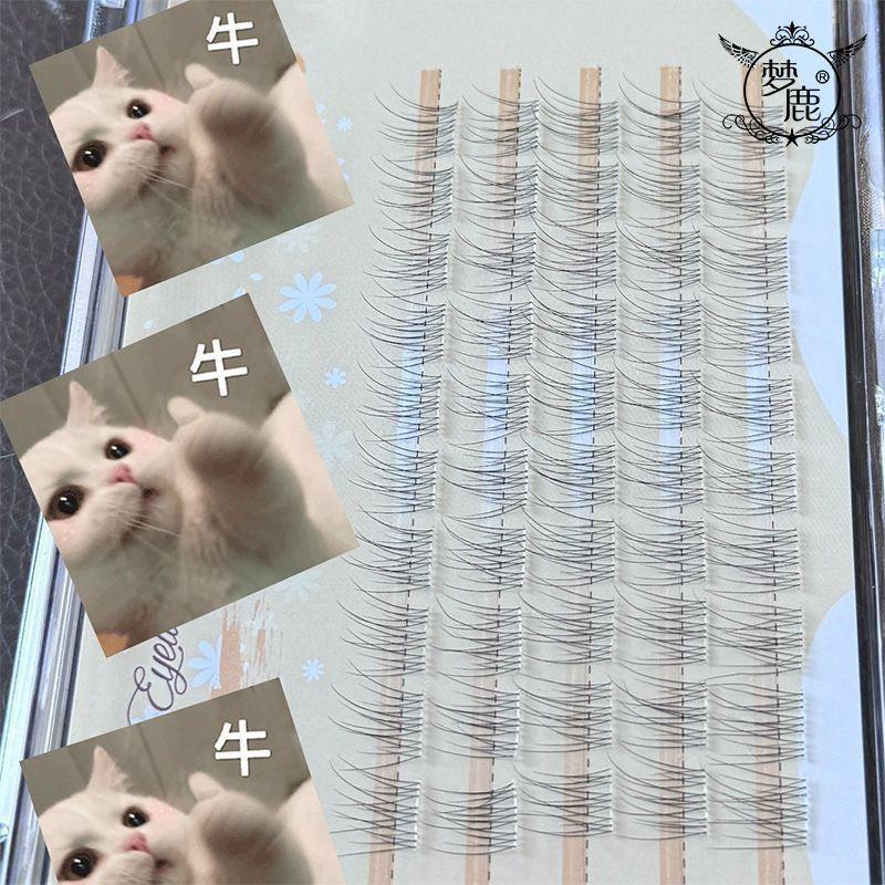120 Clusters without Stem and Glue Lazy Fishtail False Eyelashes Natural Segmentation Single Cluster Daily Plain Face Novice Simulation 8