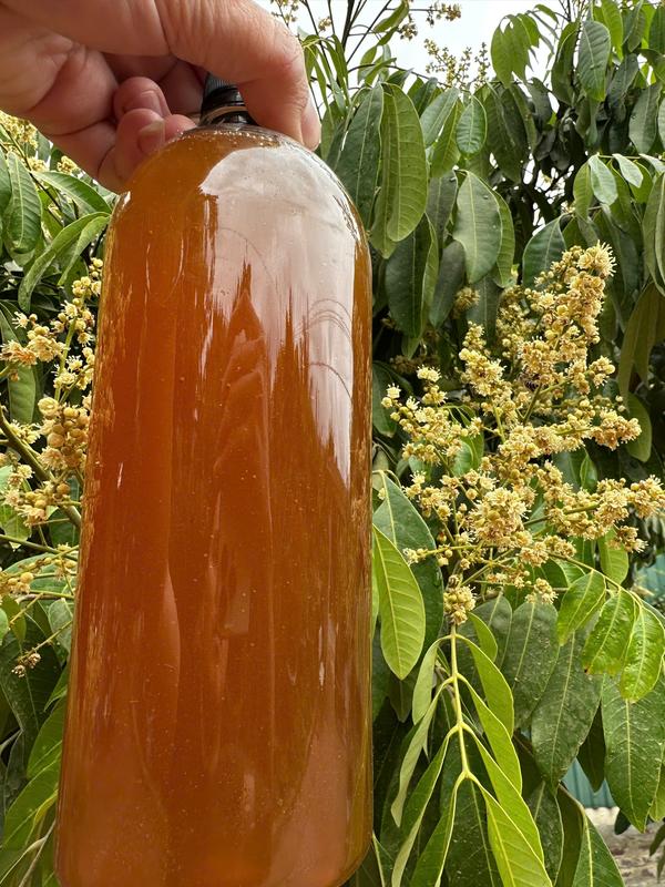 Mật ong hoa nhãn Sông Mã Sơn La chai 1 lít 1,4kg