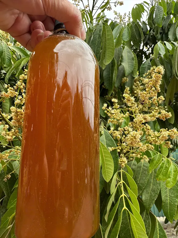 Mật ong hoa nhãn Sông Mã Sơn La (chai 1 lít) 0