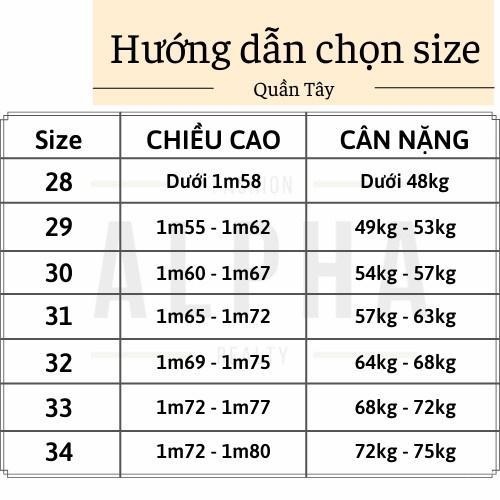 Quần tây âu nam vải SPANDECK cao cấp dày dặn mã Q130 Menswear Pants quandai  nam 4