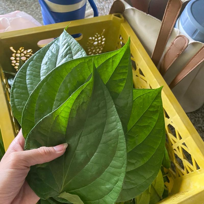 Lá Trầu Không Xanh  Đồng Nai - Xông Hơ Tắm Thiên Nhiên cho Mẹ và Bé 0
