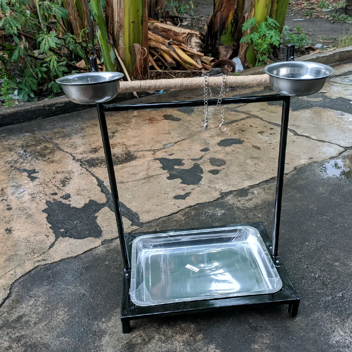 TANGKRINGAN SMALL PARROT TENGGERAN NURI SUNCONURE FALK