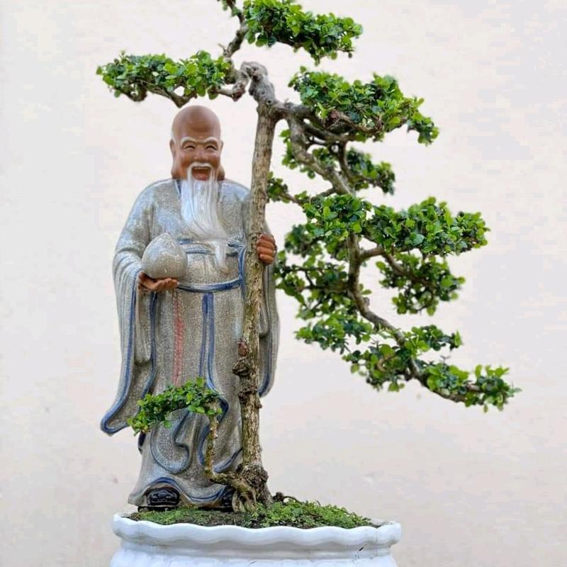  Tượng Ông Thọ Cao 37cm Ghép Cây Gốm Sứ  Bát Tràng 