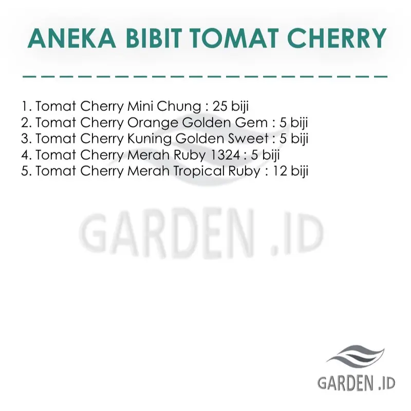 Garden Id Bibit Benih Tanaman Aneka Tomat Cherry Varian Sayuran Unggulan Tomat Cherry Kuning Golden Sweet Lengkap di Garden id 6