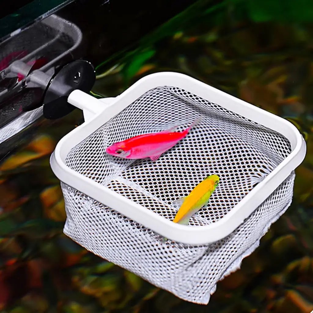 kitesiy Extendable Handle Fish Net Fine Mesh Fish Net Telescopic Stainless Steel Handle Fish Net for Shrimp Baby Fish Debris Removal Square Mesh Bag for Easy Cleaning in Asia