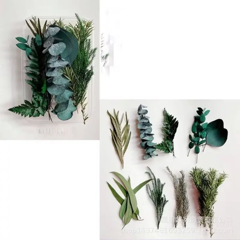 Hoa khô nhiều mẫu mới về dùng làm handmade, khung tranh, nến, sáp thơm, resin, trang trí. Kawaii - Thế giới hoa khô 1