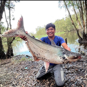 Huynh Khoa Fishing