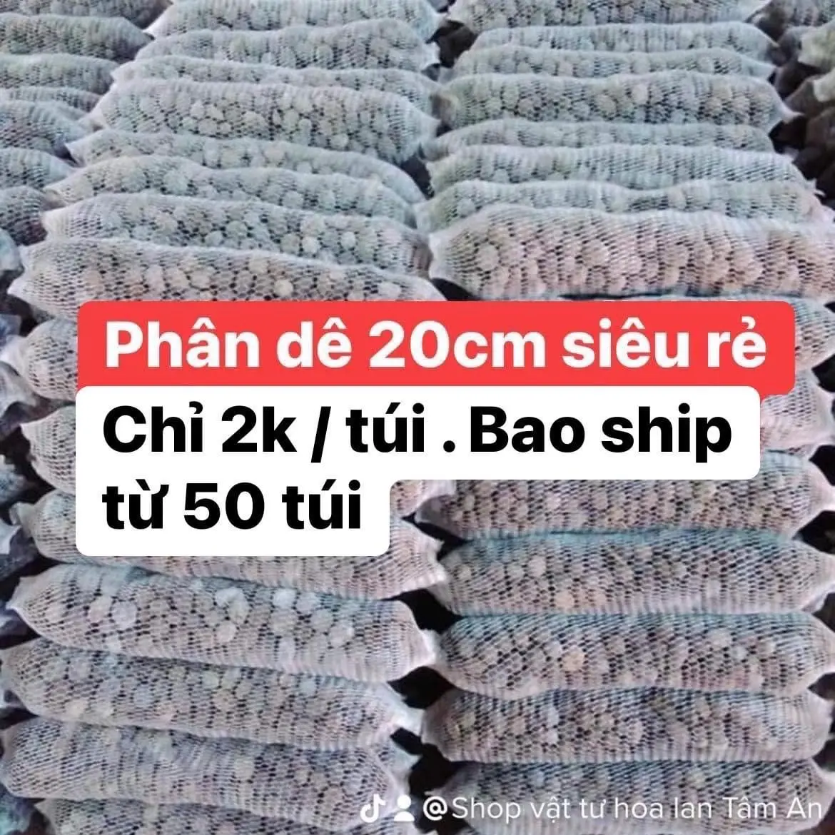100 túi đóng sẵn Phân dê 20cm