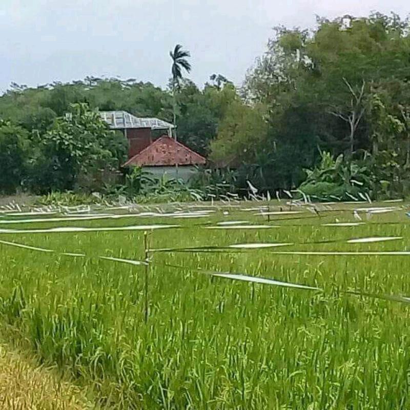 Tali rafia yang menempel di berbagai bagian motor