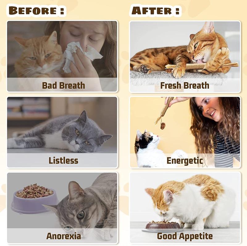 Product Introduction of Wooden Polygonum Stick Bite Combination New Cat Toy Teeth Grinding Tooth Cleansing Removal Fresh Breath 6