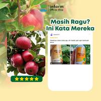 Gambar INFARM - Pupuk Anggur Pupuk Organik Cair Tanaman Buah / Bunga 1L POC Kompos Pupuk Tanaman Cair Pupuk Buah Anggur Pelebat Buah Tidak Mudah Rontok Pupuk Organik Cair 1 Liter Tanaman Cepat Berbuah Rasa Manis Buah Lebat Buah Cepat Matang Buah Cepat Panen dari Infarm Kota Surabaya 4 Tokopedia