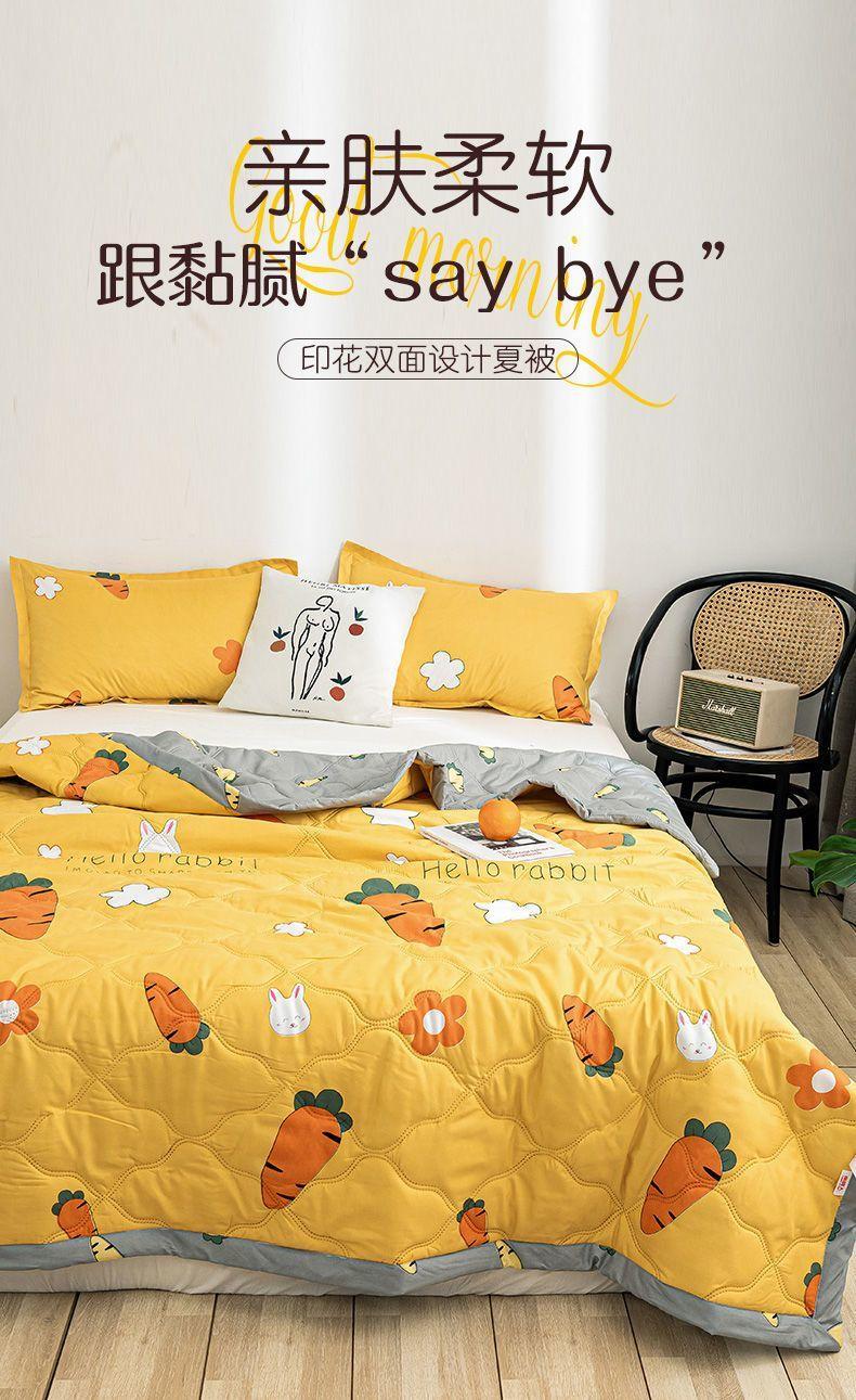 Product Introduction of Chăn Điều Hòa Mùa Hè, Chăn Mỏng Có Thể Giặt Bằng Máy, Đơn, Đôi, Ngoại Cỡ, Dành Cho Học Sinh 0