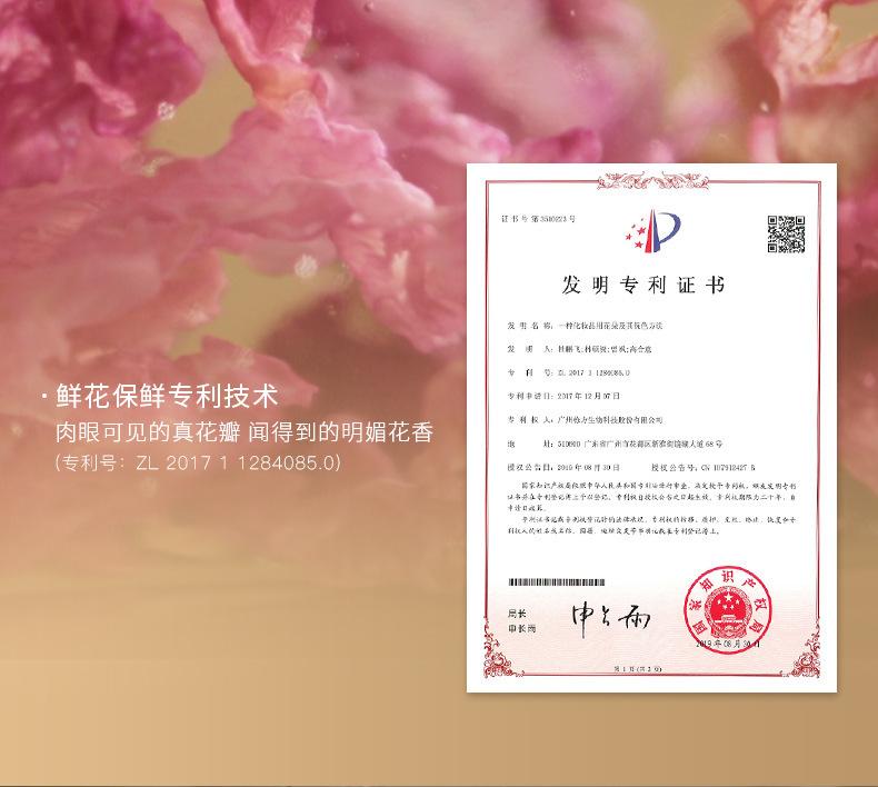 Product Introduction of Dr Unique Ailin Hair Care Essential Oil Bright Smooth Lasting Fragrance Improve Frizzy Hair Female Hand-Free Gift Conditioner Haircare 7