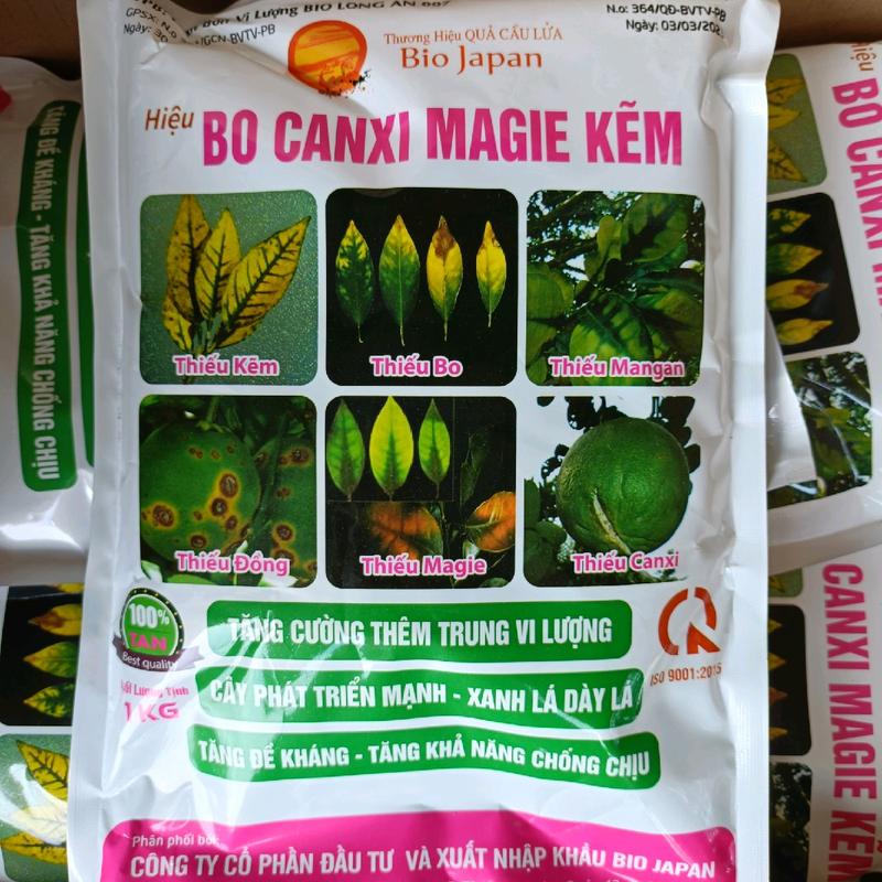 Phân bón lá BO CANXI MAGIE KẼM 1KG cty Quả Cầu Lửa