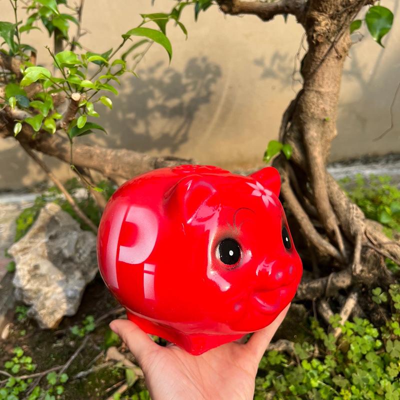 Lợn đất tiết kiệm mẫu Pi size nhỏ 3