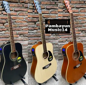 Gitar Akustik & Elektrik CORRT CUSTOM TANAM BESI & Gratis Packing Kayu