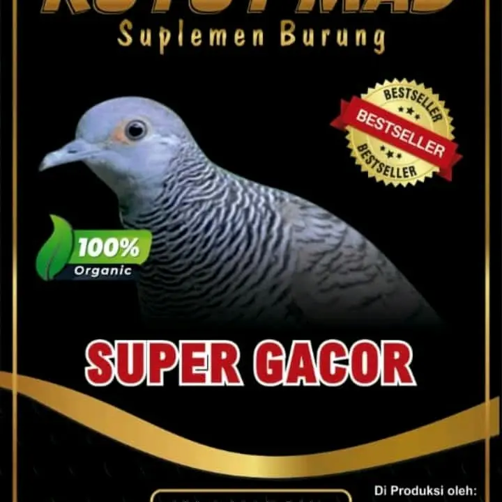 KUTUT MAS, Rawatan harian burung perkutut, bikin perkutut makin gacor