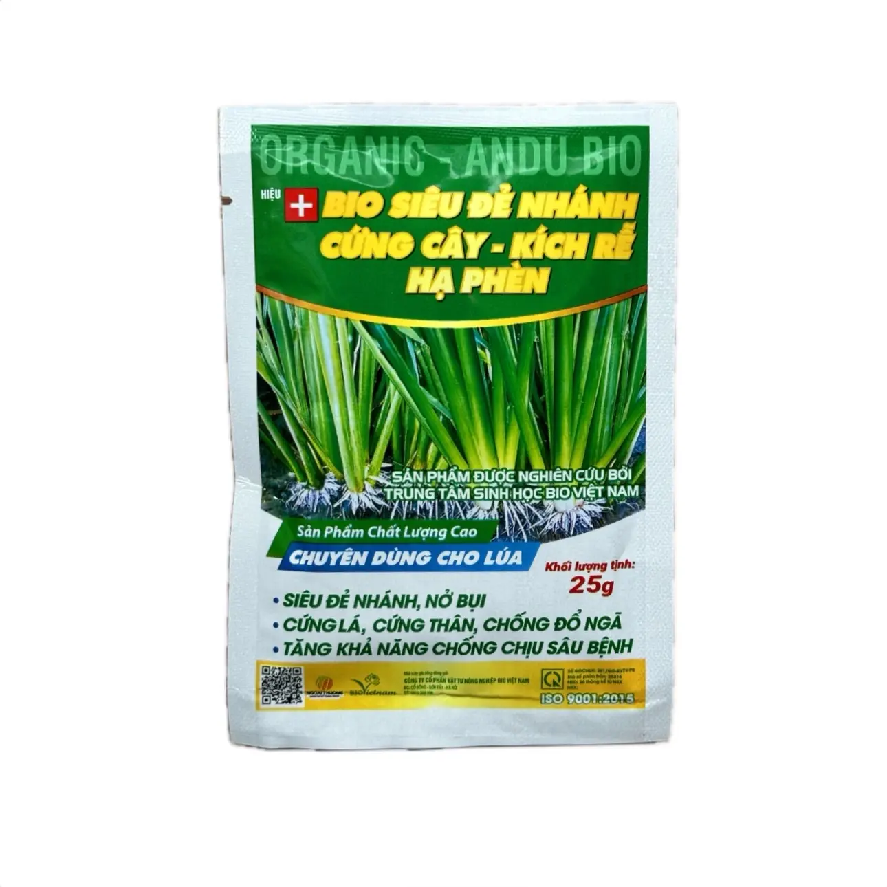 BIO SIÊU ĐẺ NHÁNH CỨNG CÂY KÍCH RỄ HẠ PHÈN