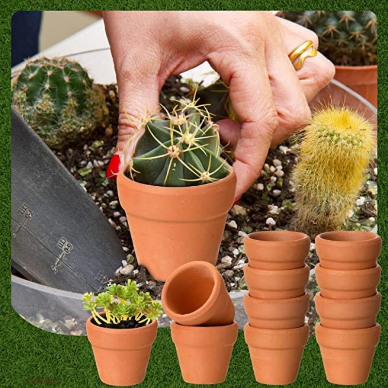 Product Introduction of Tiny Terracotta Pot, 50pcs Mini Clay Pot With Drainage Hole, Flower Pot For Indoor & Outdoor Succulent Plant, Craft, Wedding Favor 6