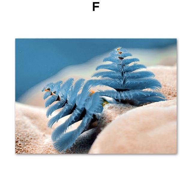 F