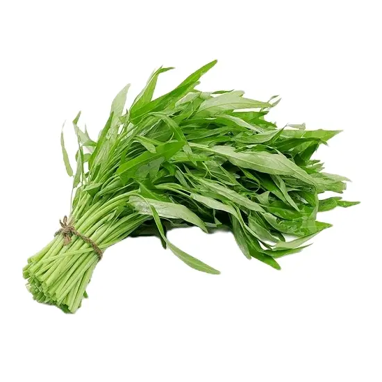 Hạt giống Rau muống, đóng gói 50gr (800 hạt) hoặc 100gr