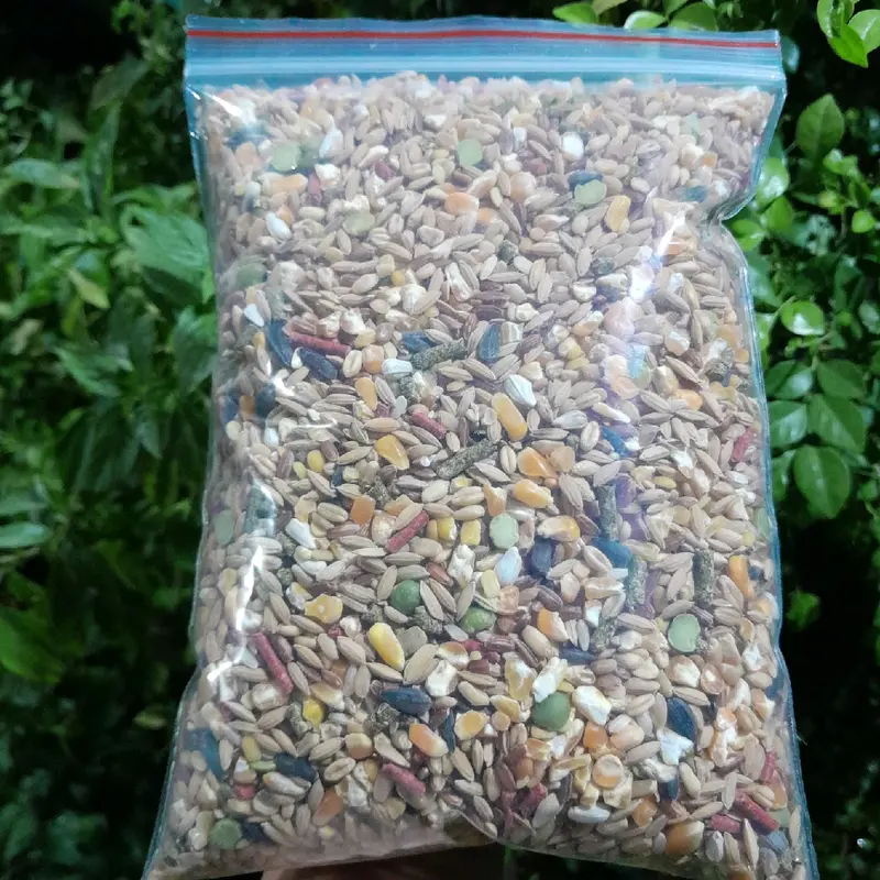 Ngũ cốc dinh dưỡng 1kg dành cho chim cu gáy, bồ câu, gà đá,... 2