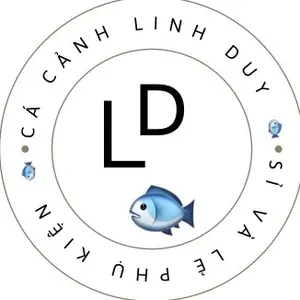 Cá cảnh linh duy 2