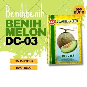 Benih Bibit Melon DC 03 F1 Isi +- 550 butir Benih Unggulan SS