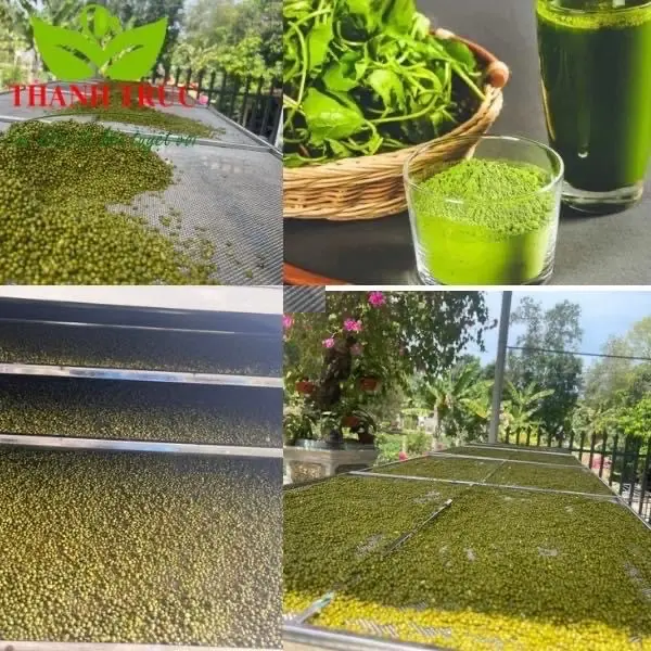 Bột rau má đậu xanh Thanh Trúc 5