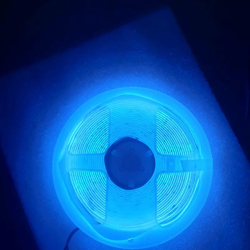 cuộn led dây dài 5m là 12v và 10m là 24v 3