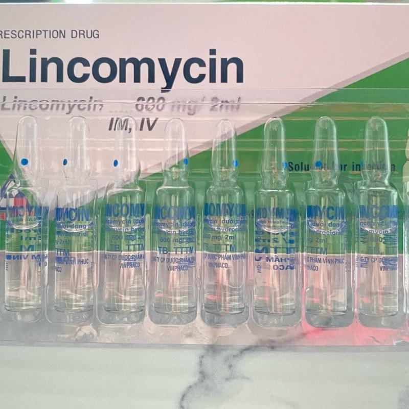 LINCO KHÁNG SINH phổ rộng trị tang gà đá và các bệnh nhiễm khuẩn trên gà , gia súc . Tặng giảm đau , tiêu viêm và giải độc gan. Ống 2ml , 1 hộp 10 ống . 3
