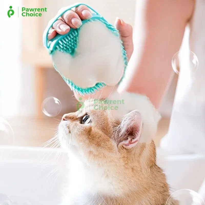 Sikat Mandi Silikon Pijat untuk Grooming Mandi Kucing Anjing Kitten Isi Sabun Dispenser