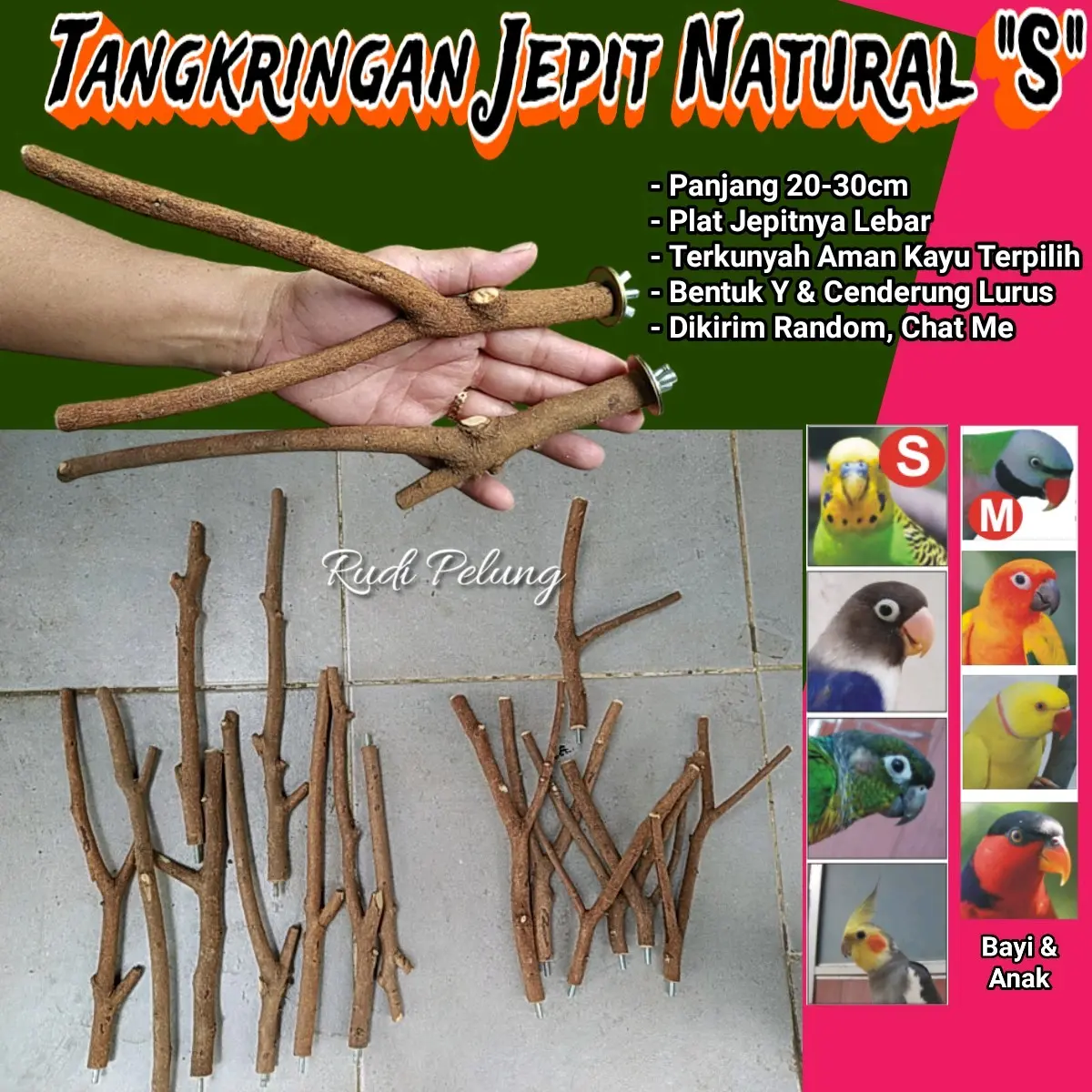 Tangkringan Tenggeran Burung Alami Jepit ukuran S