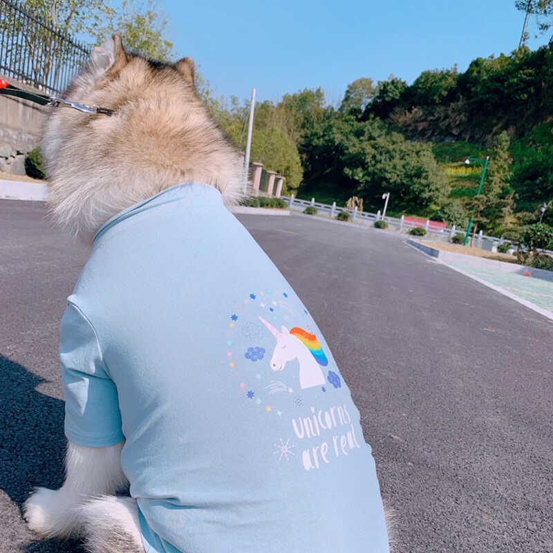 TLB Spring Summer Thin Pet Parent Child Puff Skirt T shirt Teddy Cat Bullfighting Golden Hair Aladog Clothes 6