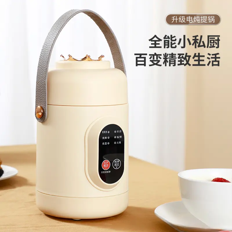 Multifunctional Small Electric Stew Pot for Home Use, Portable Electric Stew Cup for Office, Mini Health Pot for Cooking Porridge