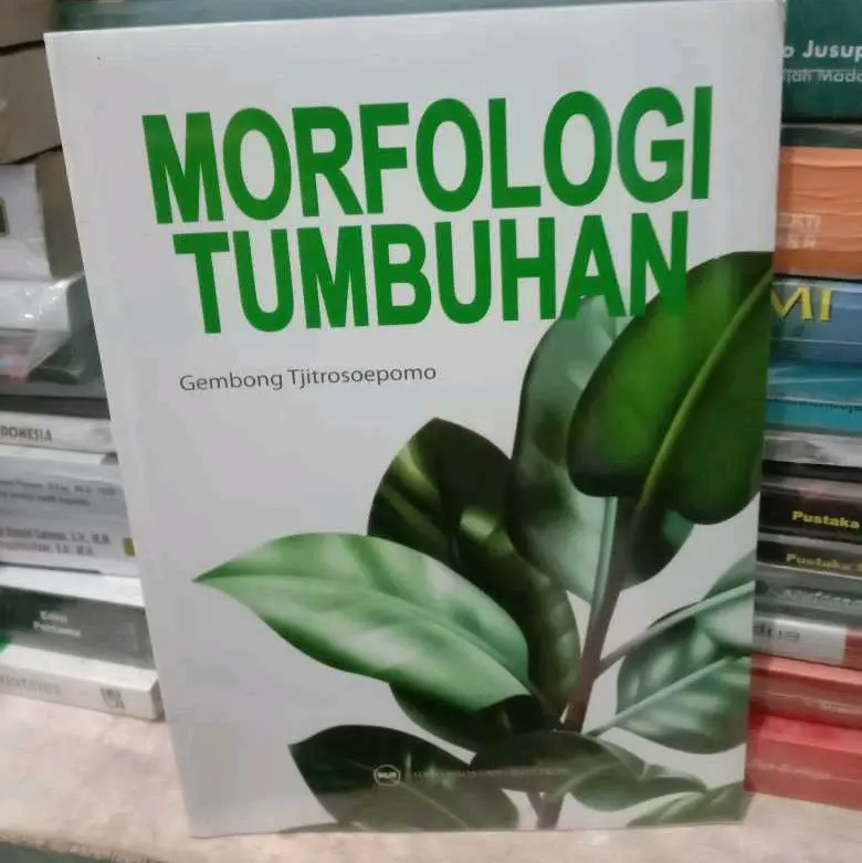 morfologi tumbuhan - Gembong