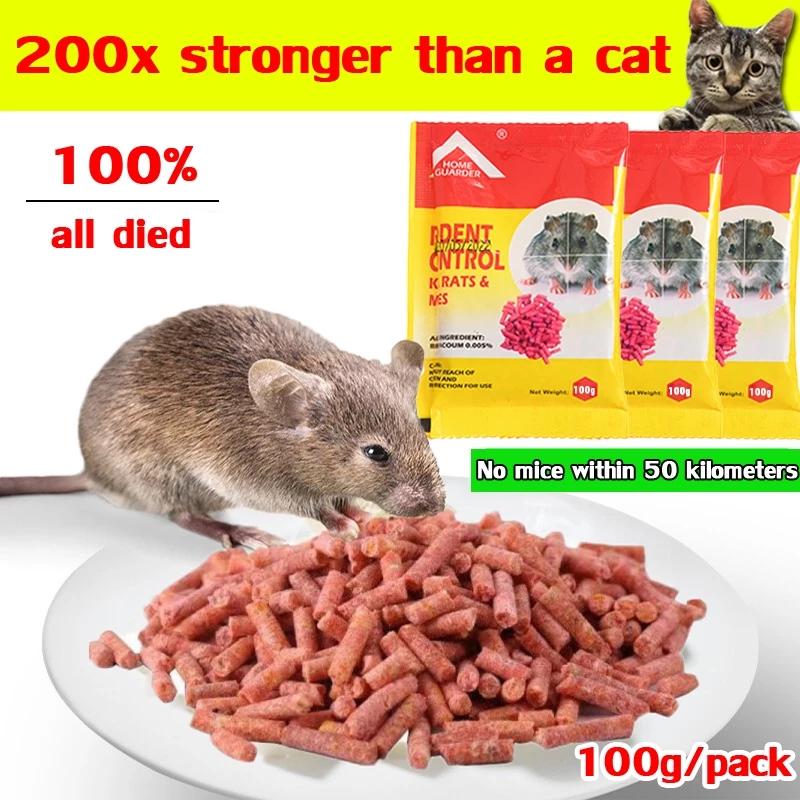 【24-hour shipping】ubat tikus racun tikus paling kuat rat bai - TikTok ...