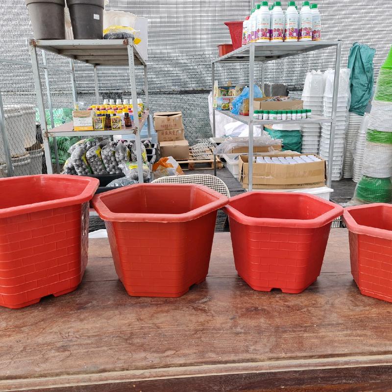 Combo 5 cái Chậu nhựa lục giác Fa 380 kích thước miệng 28cmx cao 20cm