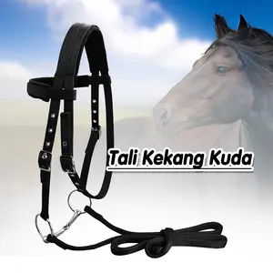 20mm Tali Kekang Kuda PP / Tali Kekang Kepala Kuda / Ukuran L Sampai M Dengan Bantalan Spons