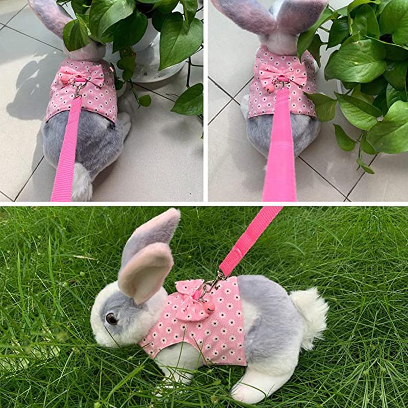 HEHUS Small Animal Harness Vest and Leash Escape-Proof Belt Adjustable for Bunny Rat 3