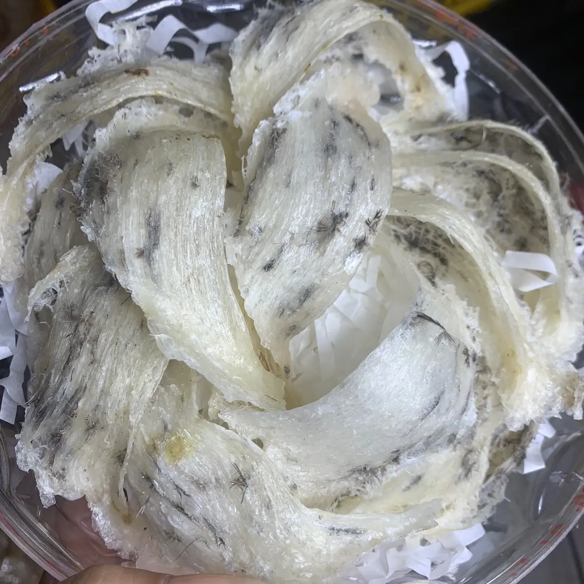 YẾN THÔ LOẠI ĐẸP TRẮNG SẠCH ÍT LÔNG MỎNG BỤNG YẾN BIỂN SIÊU NỞ 100g :